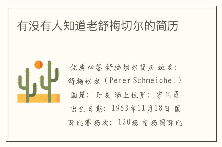 有没有人知道老舒梅切尔的简历