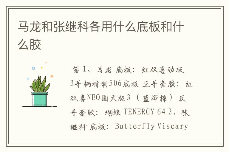 马龙和张继科各用什么底板和什么胶