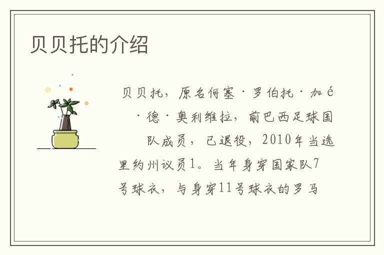 贝贝托的介绍