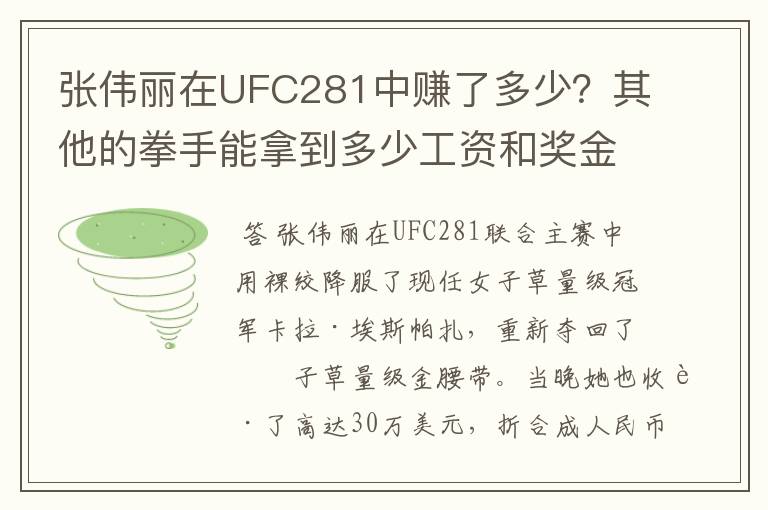 张伟丽在UFC281中赚了多少?其他的拳手能拿到多少工资和奖金?