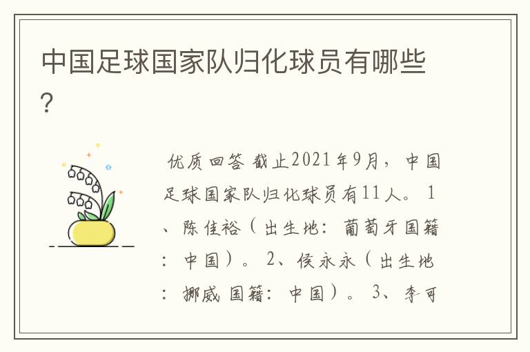 中国足球国家队归化球员有哪些?