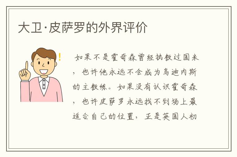 大卫·皮萨罗的外界评价
