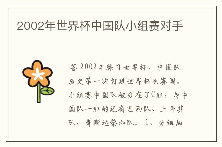 2002年世界杯中国队小组赛对手