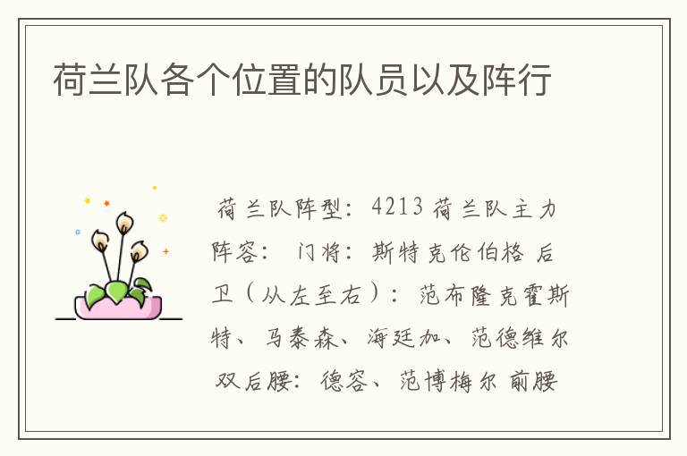 荷兰队各个位置的队员以及阵行