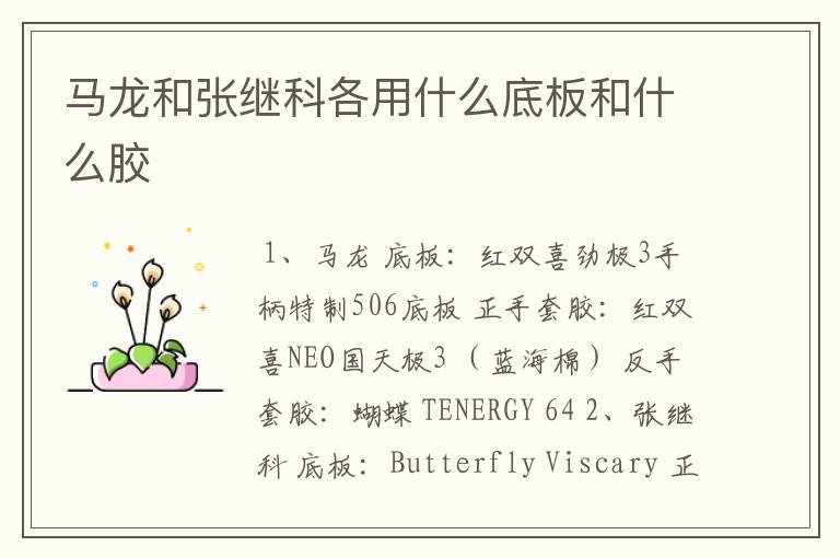 马龙和张继科各用什么底板和什么胶