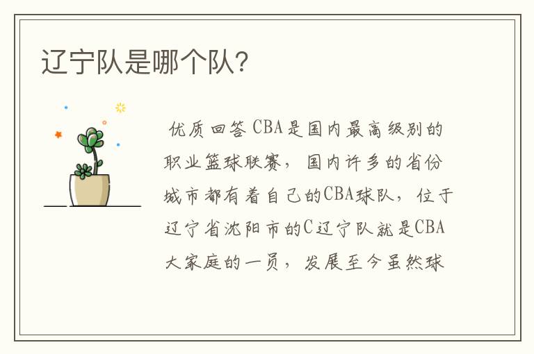 辽宁队是哪个队?