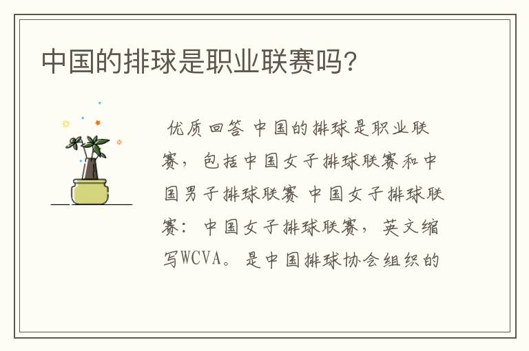 中国的排球是职业联赛吗?