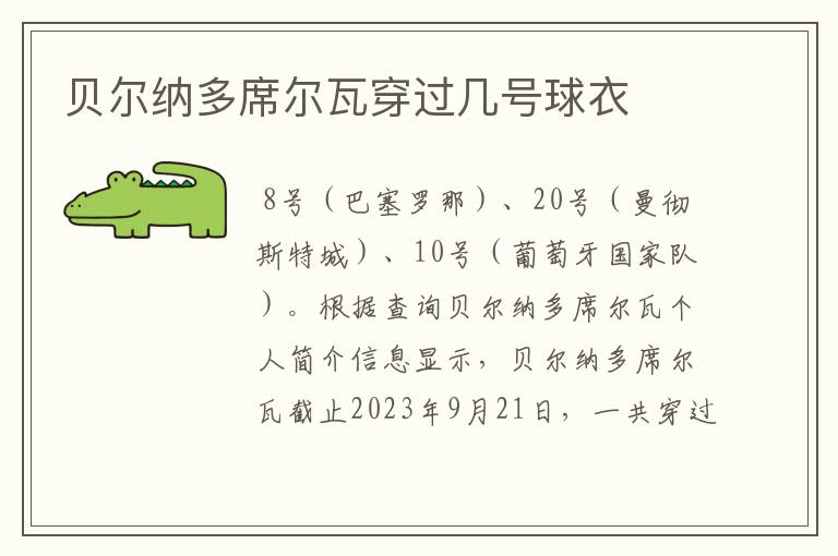 贝尔纳多席尔瓦穿过几号球衣
