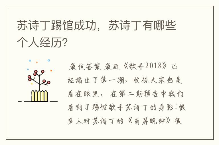 苏诗丁踢馆成功,苏诗丁有哪些个人经历?