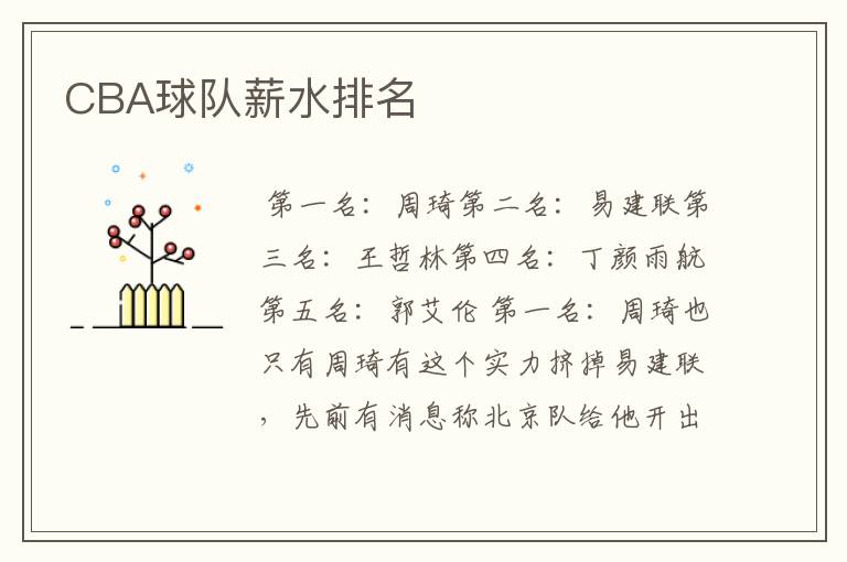 CBA球队薪水排名