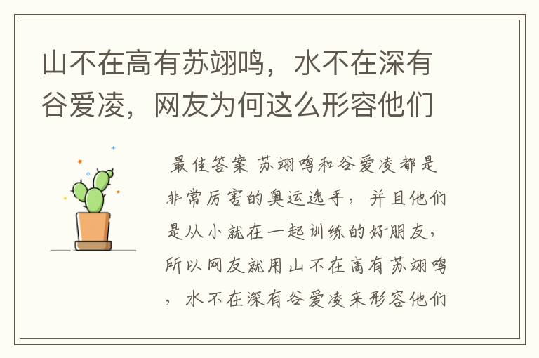 山不在高有苏翊鸣,水不在深有谷爱凌,网友为何这么形容他们俩?