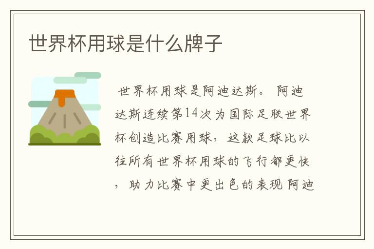 世界杯用球是什么牌子