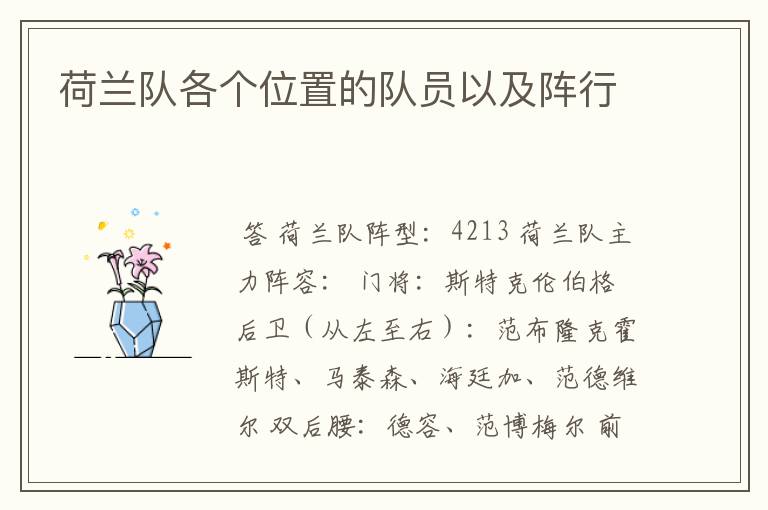 荷兰队各个位置的队员以及阵行
