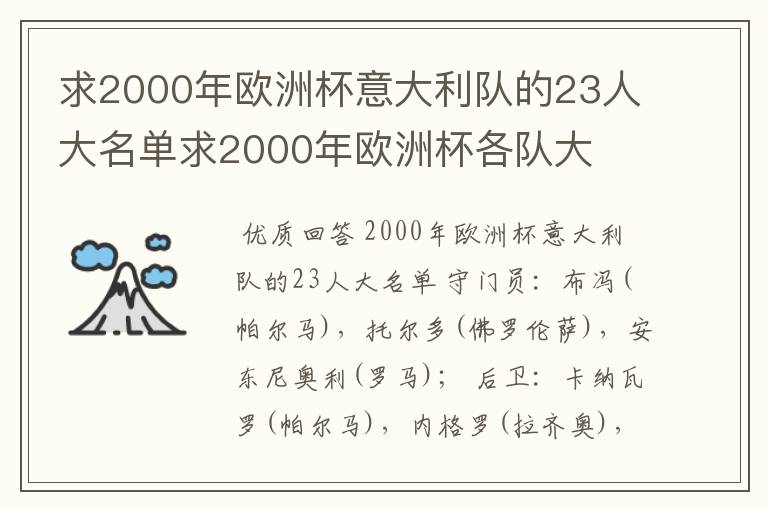 求2000年欧洲杯意大利队的23人大名单求2000年欧洲杯各队大