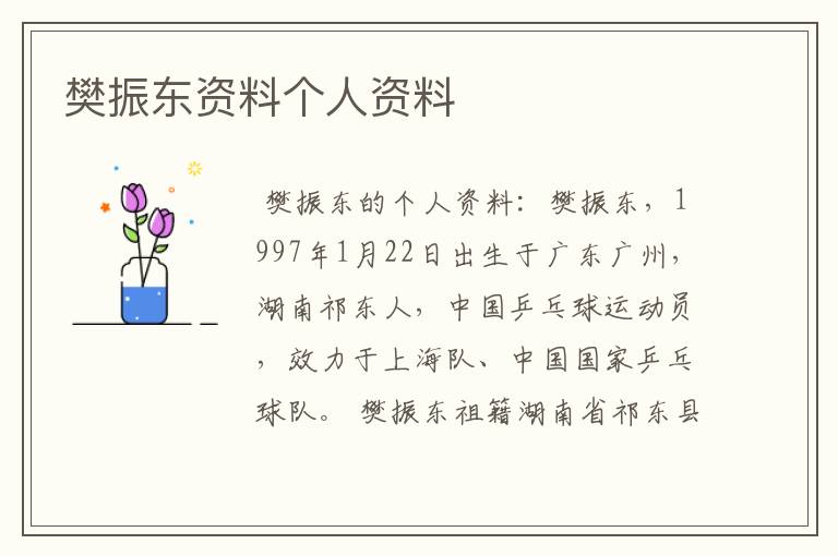 樊振东资料个人资料