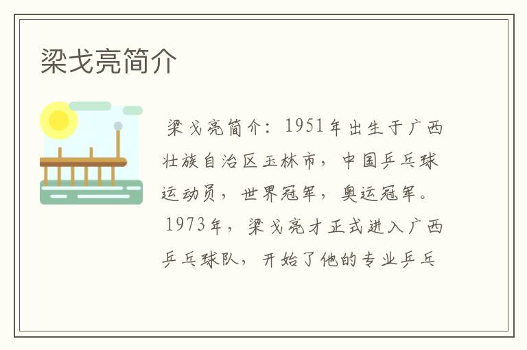 梁戈亮简介
