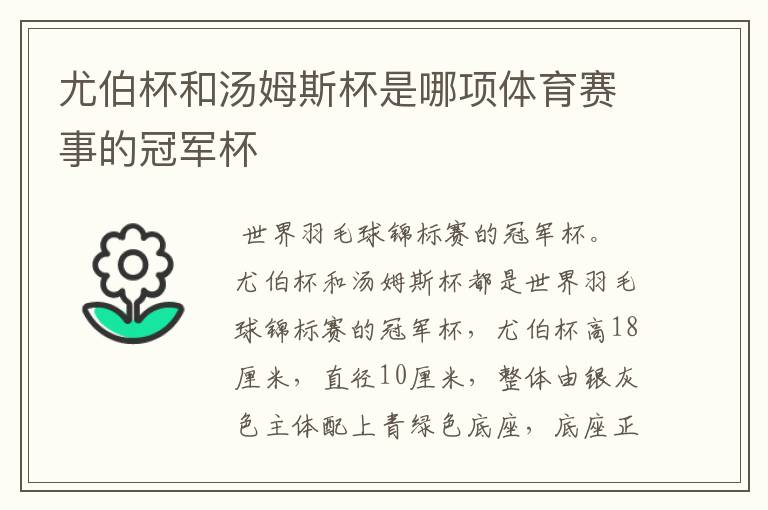 尤伯杯和汤姆斯杯是哪项体育赛事的冠军杯