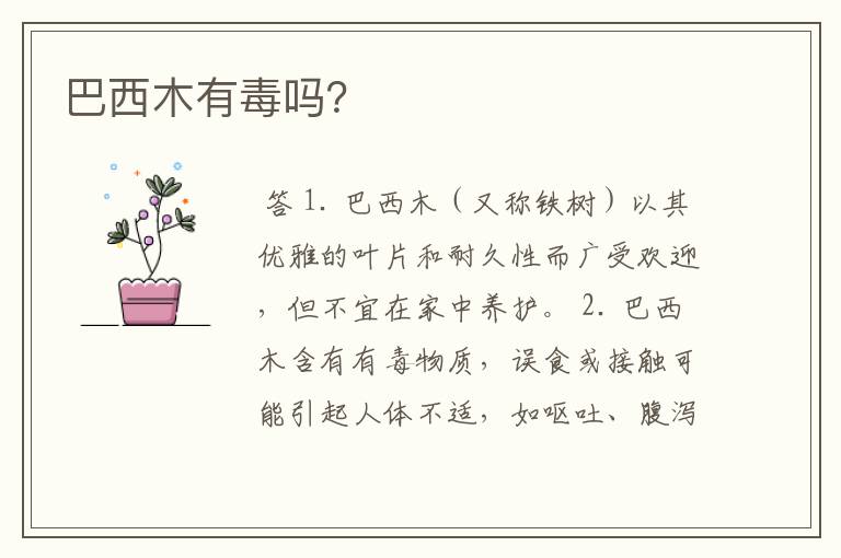 巴西木有毒吗?