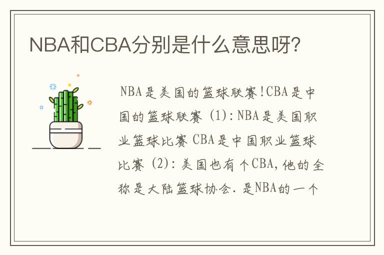 NBA和CBA分别是什么意思呀?