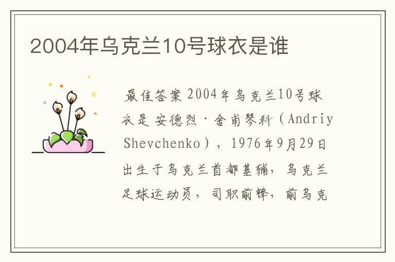 2004年乌克兰10号球衣是谁