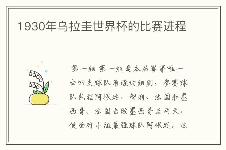 1930年乌拉圭世界杯的比赛进程