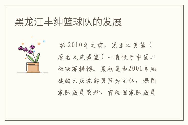 黑龙江丰绅篮球队的发展