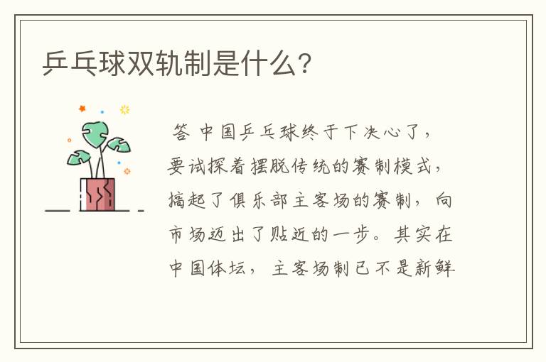 乒乓球双轨制是什么?