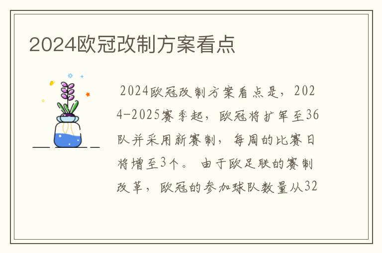 2024欧冠改制方案看点