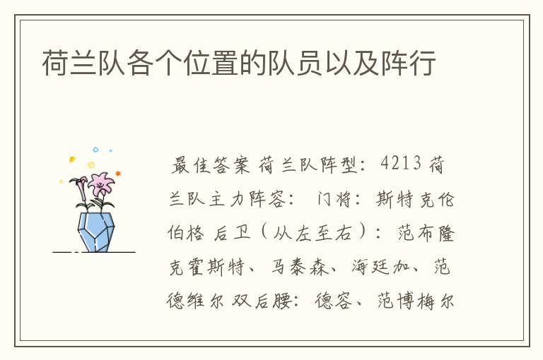 荷兰队各个位置的队员以及阵行