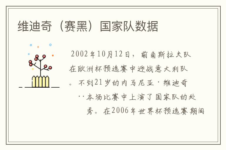 维迪奇（赛黑）国家队数据