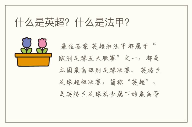 什么是英超?什么是法甲?