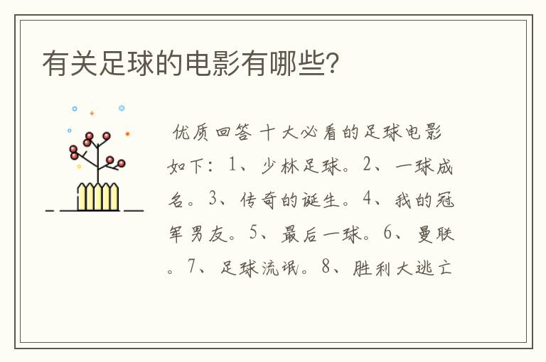 有关足球的电影有哪些?