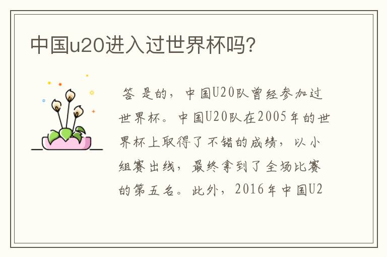 中国u20进入过世界杯吗?