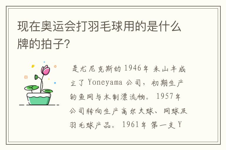 现在奥运会打羽毛球用的是什么牌的拍子?