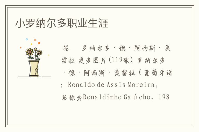 小罗纳尔多职业生涯