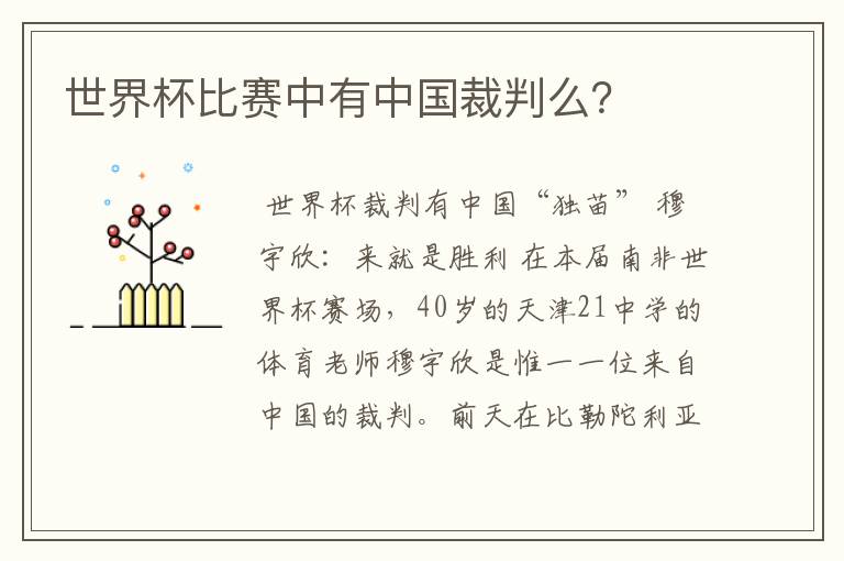 世界杯比赛中有中国裁判么?