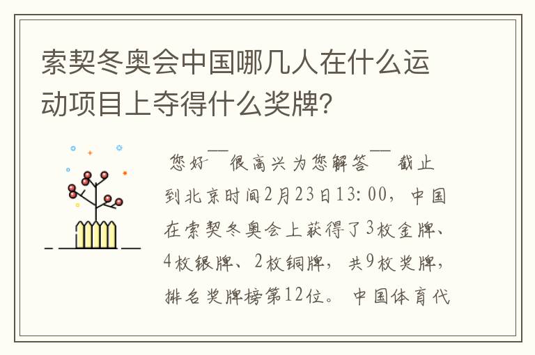 索契冬奥会中国哪几人在什么运动项目上夺得什么奖牌？