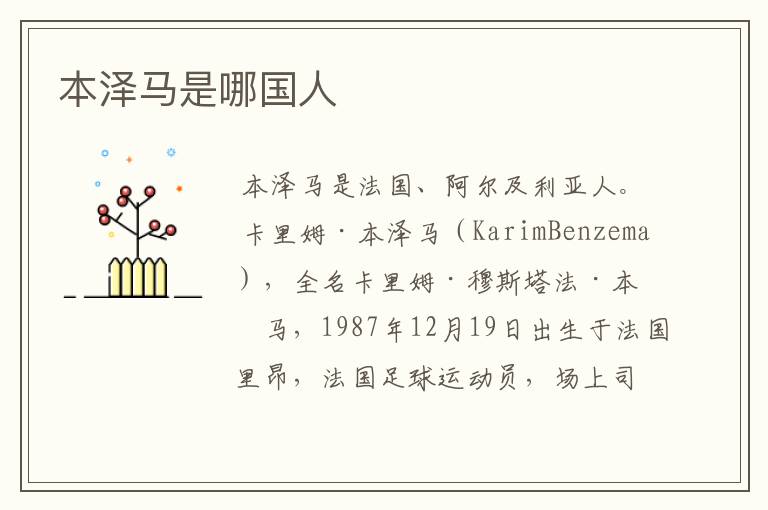 本泽马是哪国人