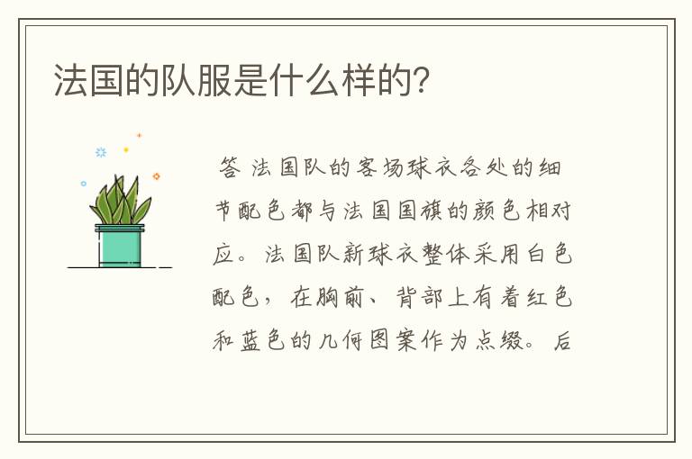 法国的队服是什么样的?