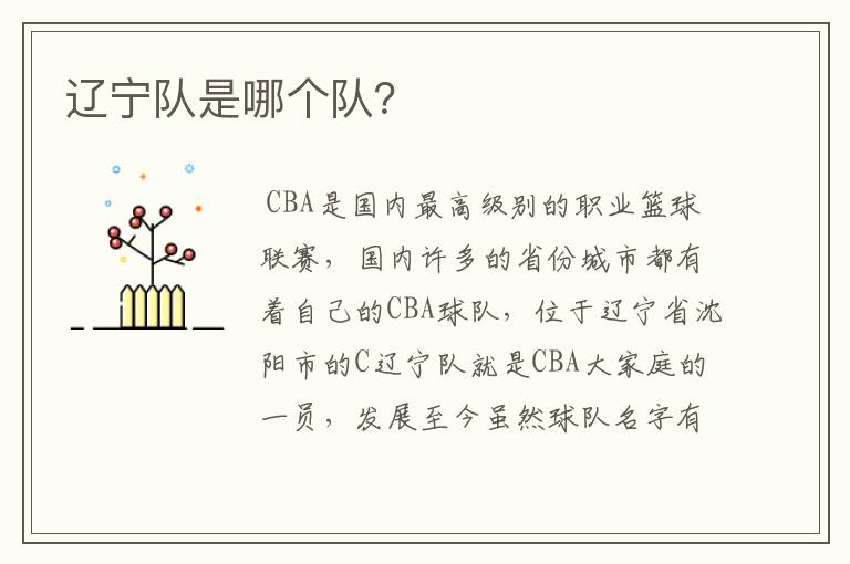 辽宁队是哪个队?