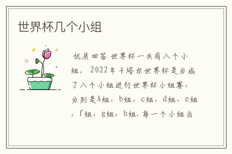 世界杯几个小组