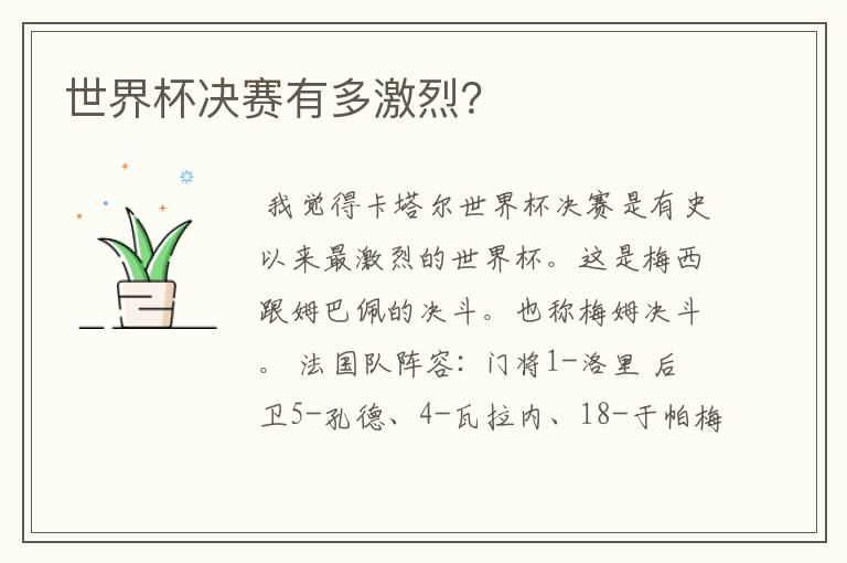 世界杯决赛有多激烈?