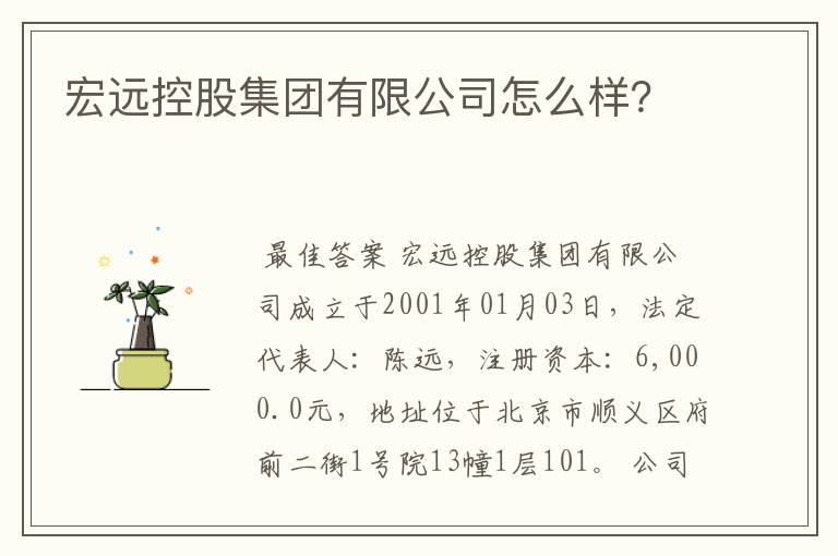 宏远控股集团有限公司怎么样?