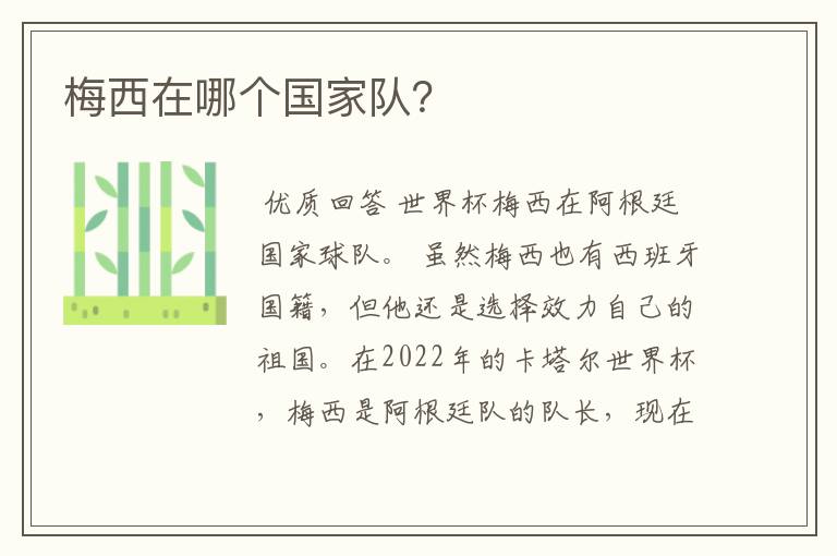 梅西在哪个国家队?
