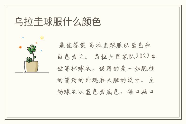 乌拉圭球服什么颜色