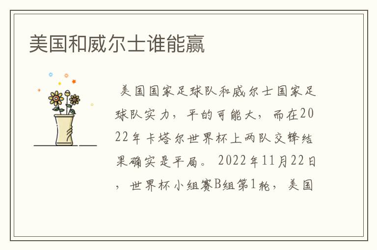 美国和威尔士谁能赢