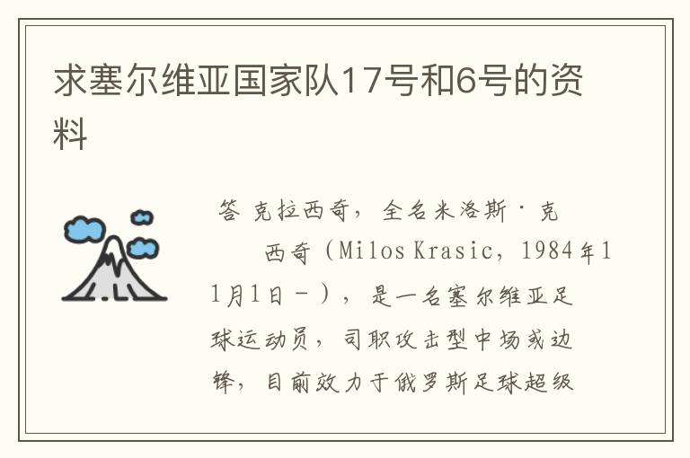 求塞尔维亚国家队17号和6号的资料