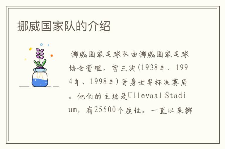 挪威国家队的介绍