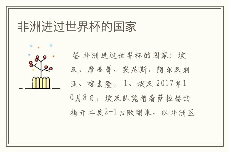 非洲进过世界杯的国家