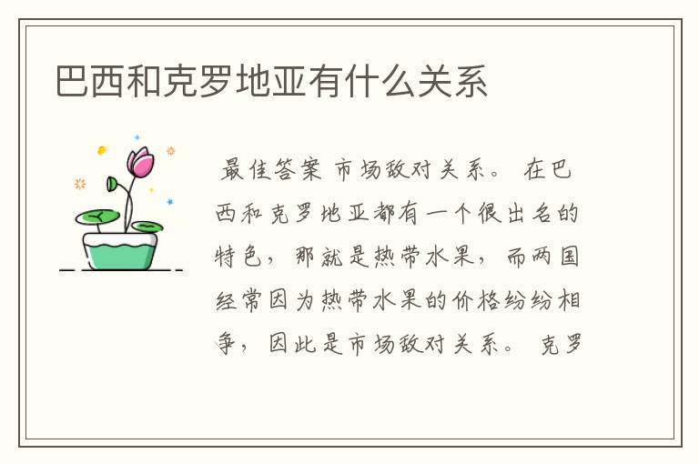巴西和克罗地亚有什么关系